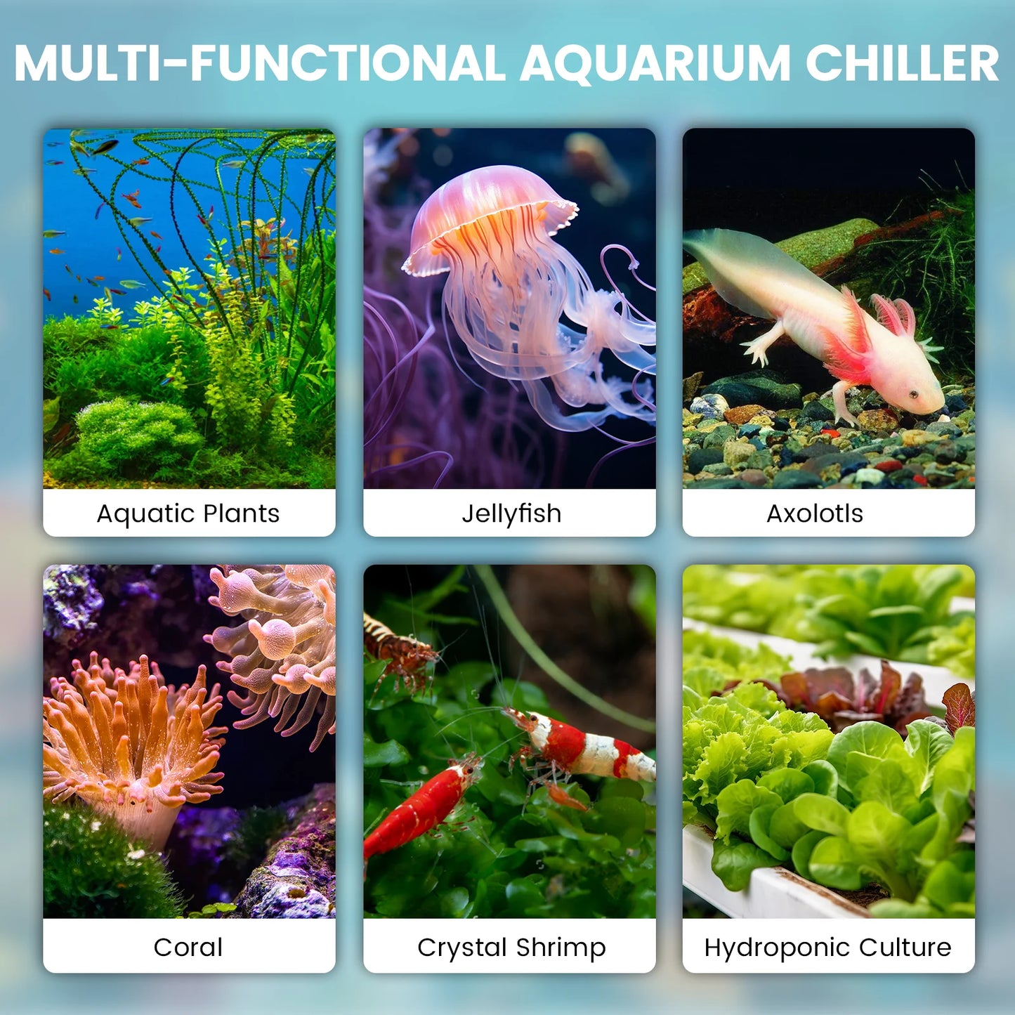 Half HP Aquarium Water Chiller AL500L For 132 Gallon Tanks