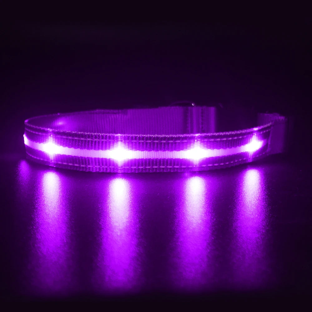 MASBRILL Light Up Dog Collar Waterproof USB Rechargeable Night Safety