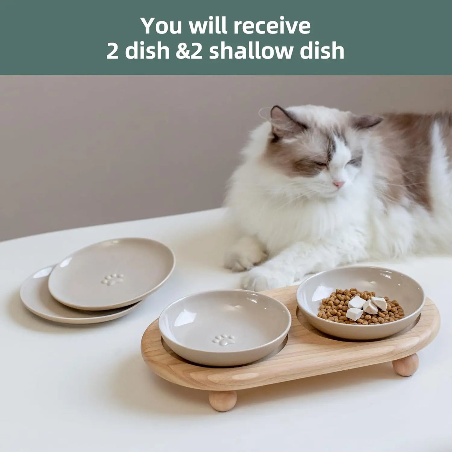 Raised Ceramic Cat Dishes 2-In-1 Food And Water Bowl Set