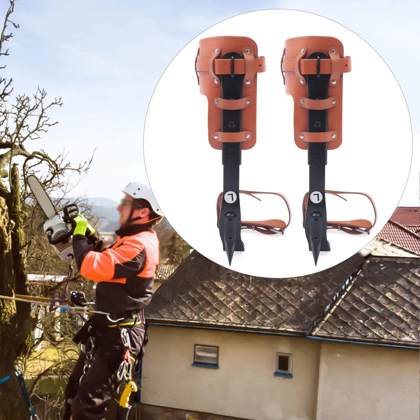 Tree Climbing Spike Set With Adjustable Steel Gaffs