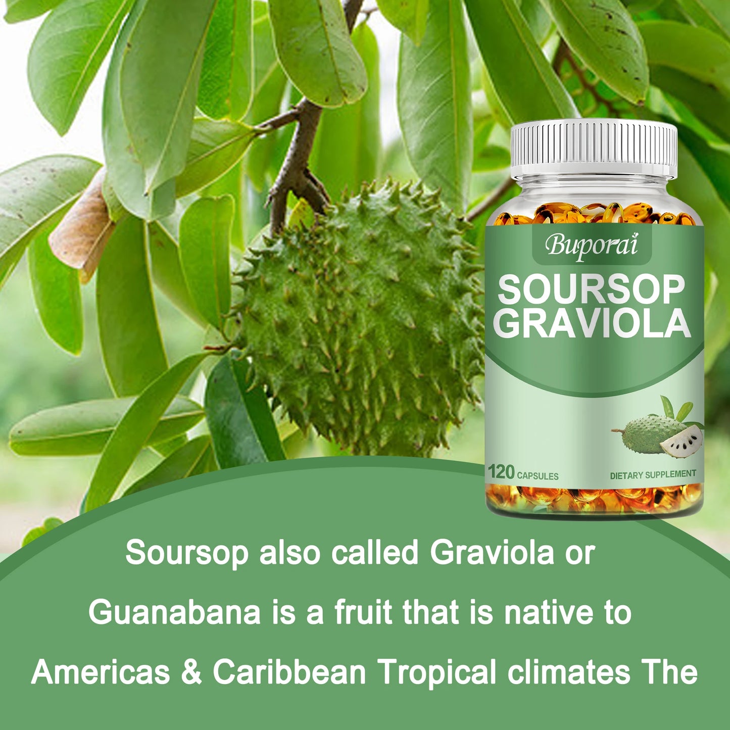 Airboy Soursop Graviola Immune Support for Digestion and Mood