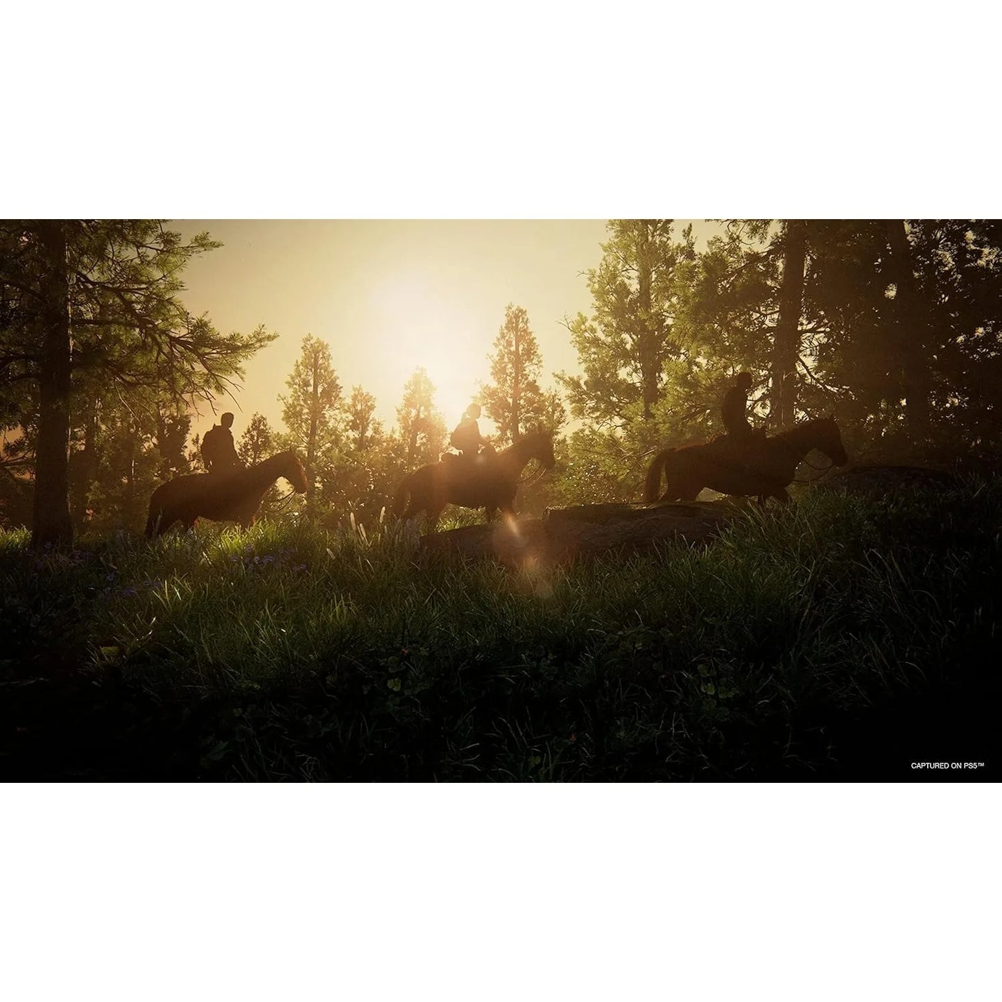 Sony PS5 The Last Of Us Part I HongKongDeluxeEdition
