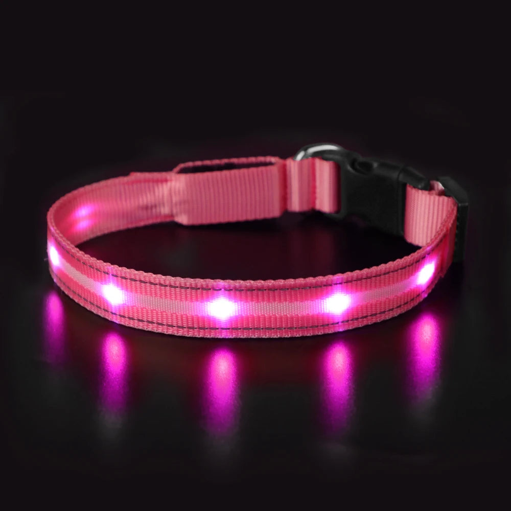 MASBRILL Light Up Dog Collar Waterproof USB Rechargeable Night Safety