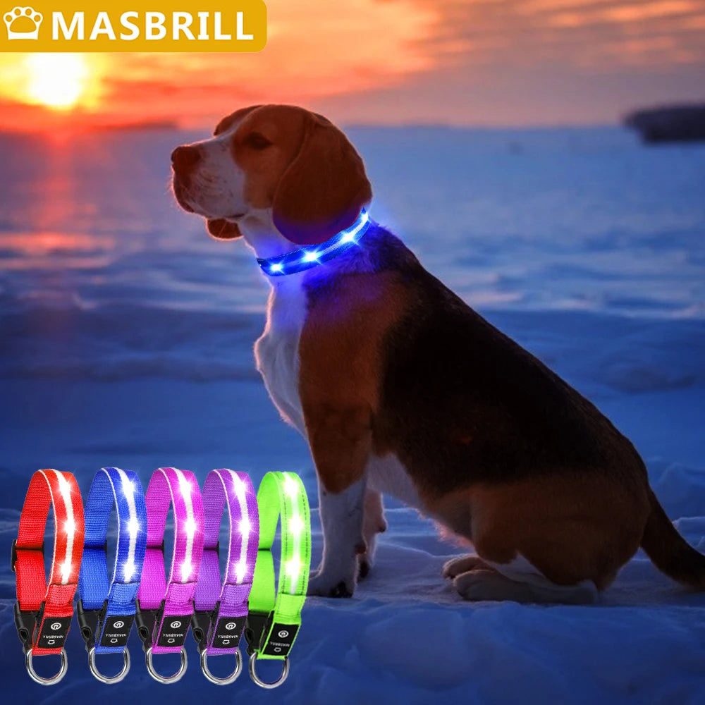 MASBRILL Light Up Dog Collar Waterproof USB Rechargeable Night Safety