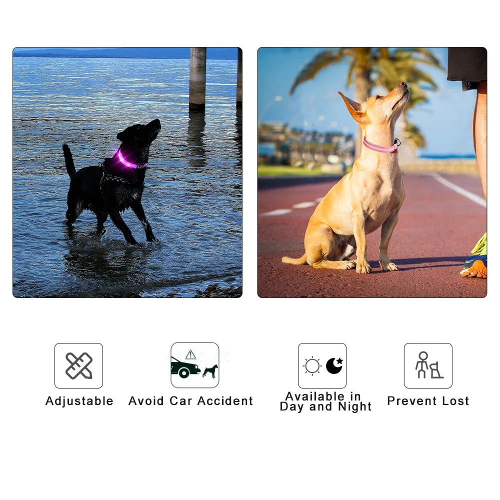 MASBRILL Light Up Dog Collar Waterproof USB Rechargeable Night Safety