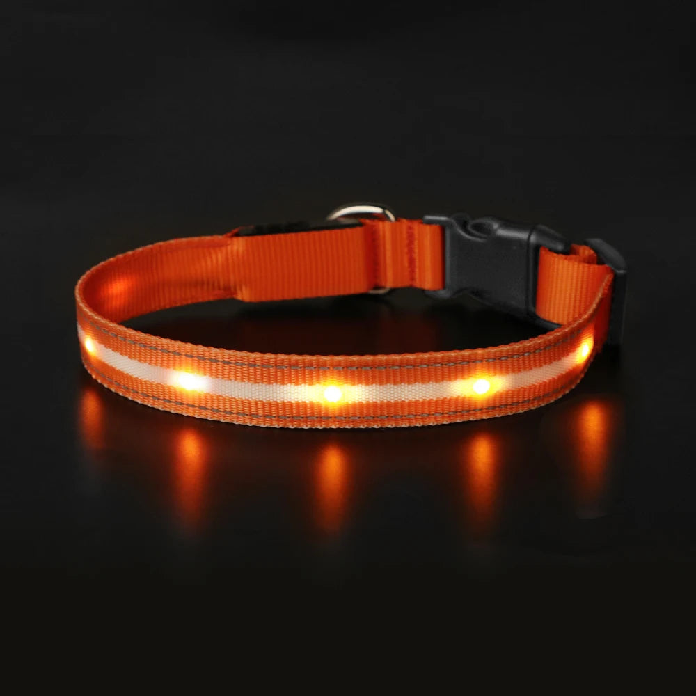 MASBRILL Light Up Dog Collar Waterproof USB Rechargeable Night Safety