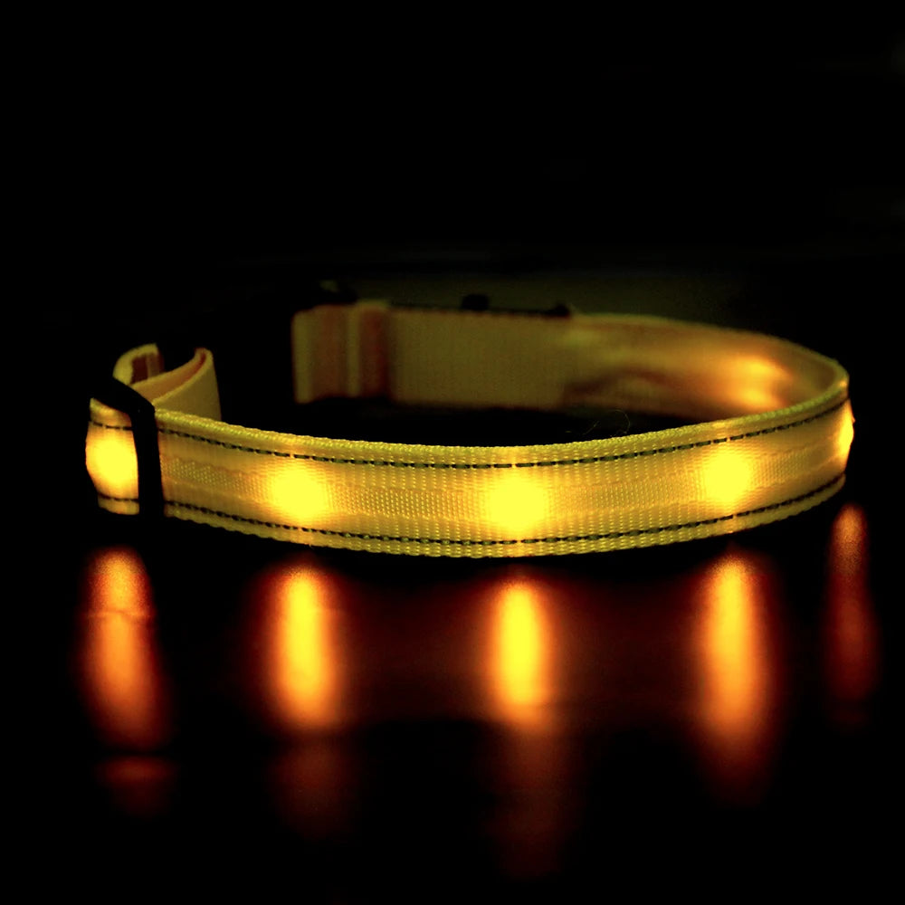 MASBRILL Light Up Dog Collar Waterproof USB Rechargeable Night Safety