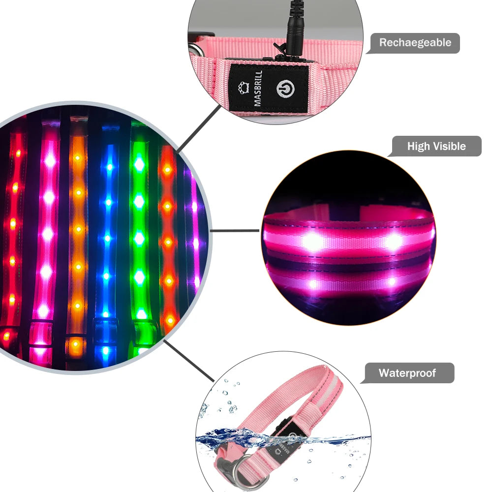 MASBRILL Light Up Dog Collar Waterproof USB Rechargeable Night Safety