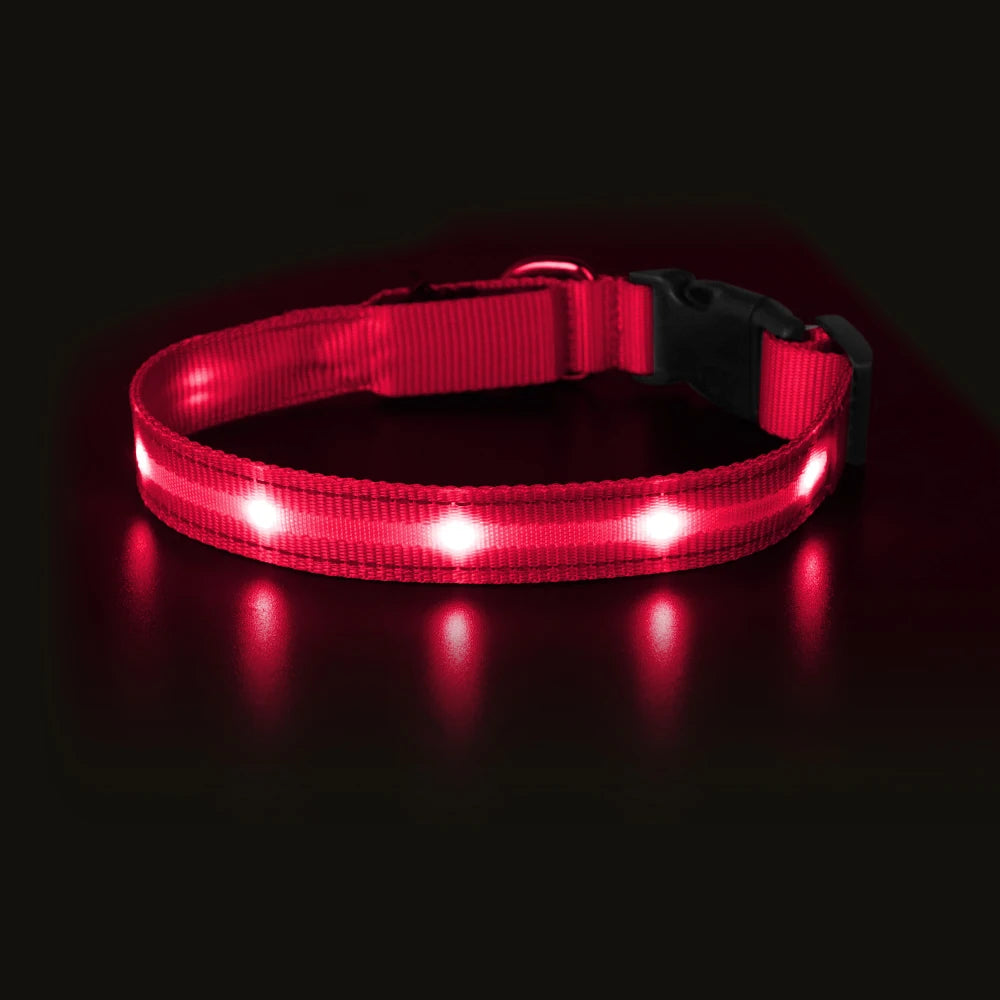 MASBRILL Light Up Dog Collar Waterproof USB Rechargeable Night Safety