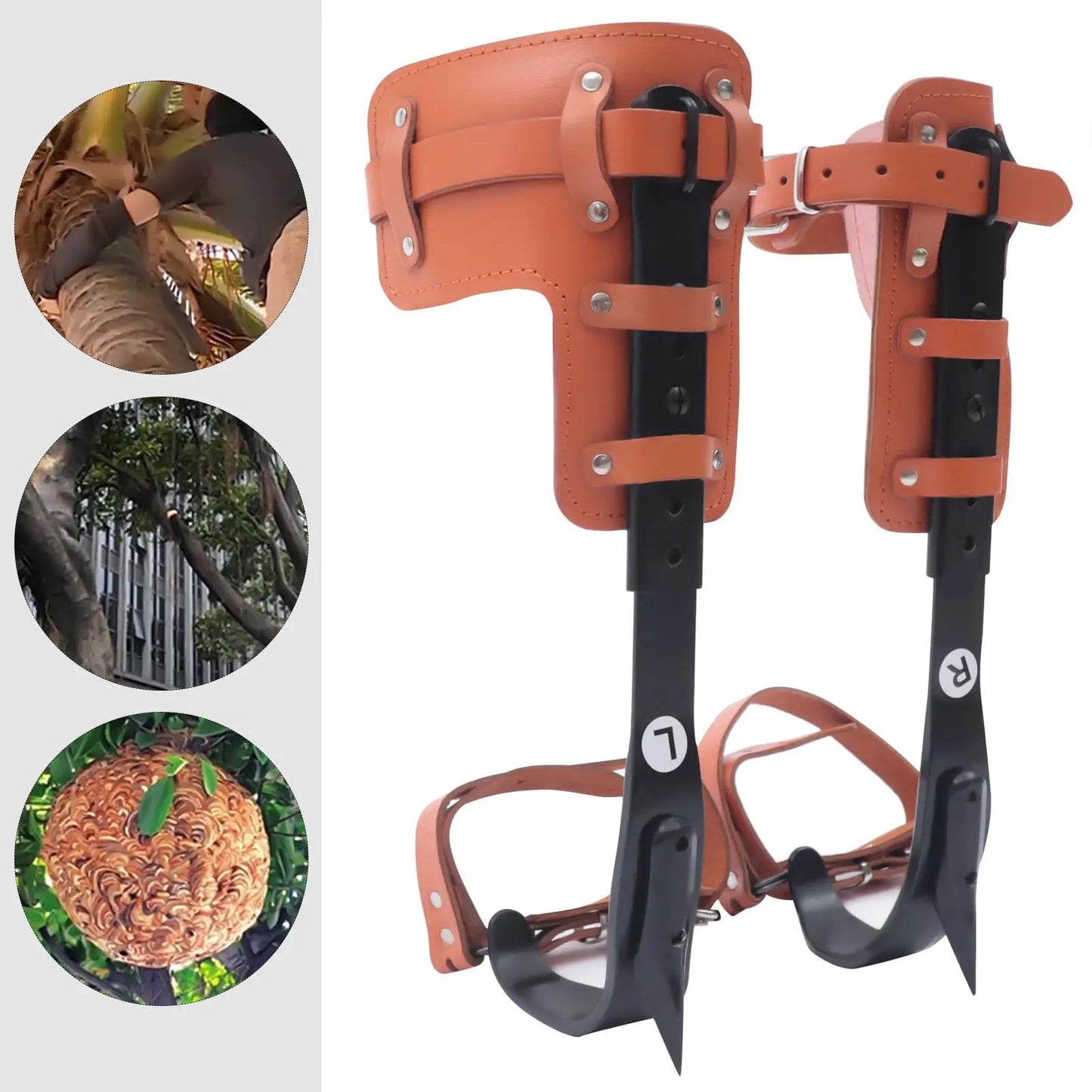Tree Climbing Spike Set With Adjustable Steel Gaffs
