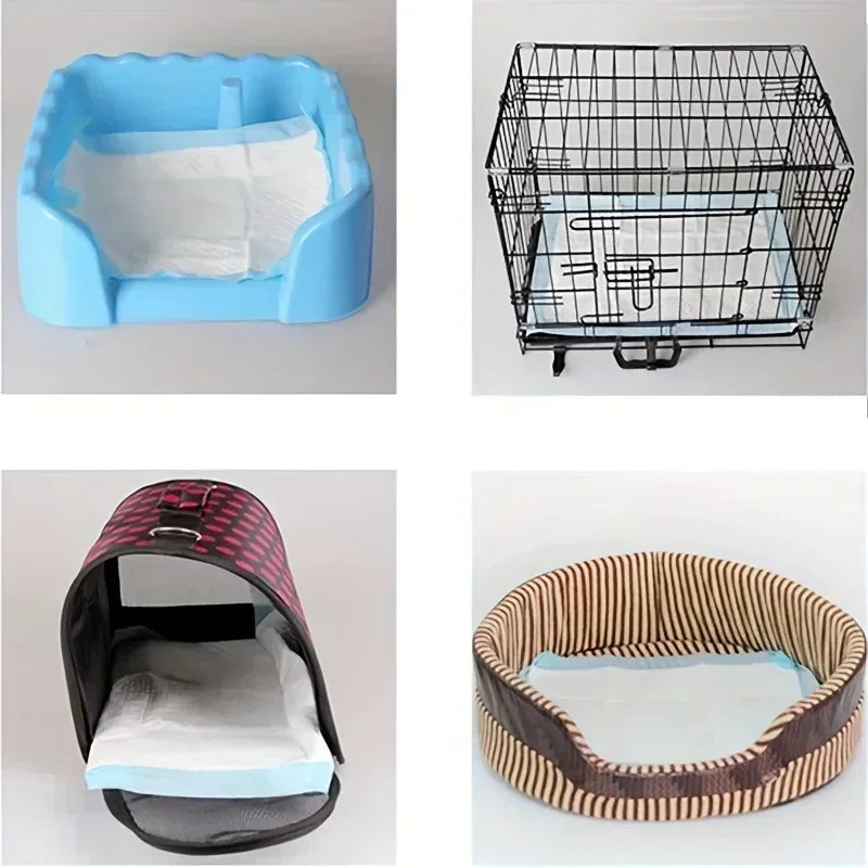 Dog Diapers And Training Pads With Odor Control For Pets