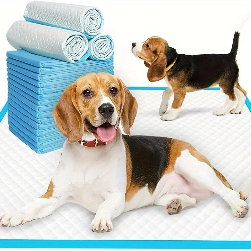 Dog Diapers And Training Pads With Odor Control For Pets