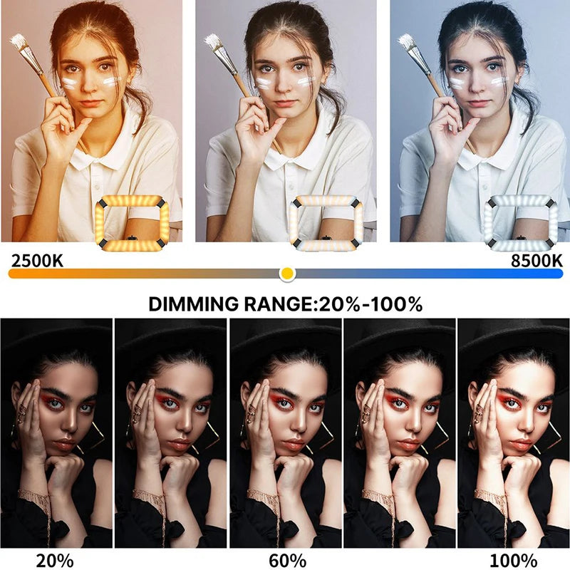 Ulanzi U200 Smartphone Video Rig LED Ring Light 2in1