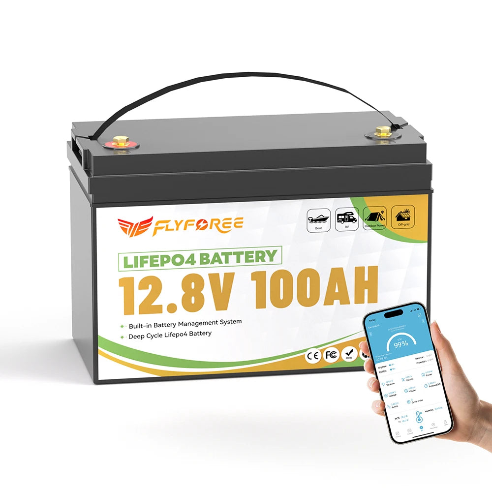 Fly Power LiFePO4 12V 100Ah Battery With BMS Marine