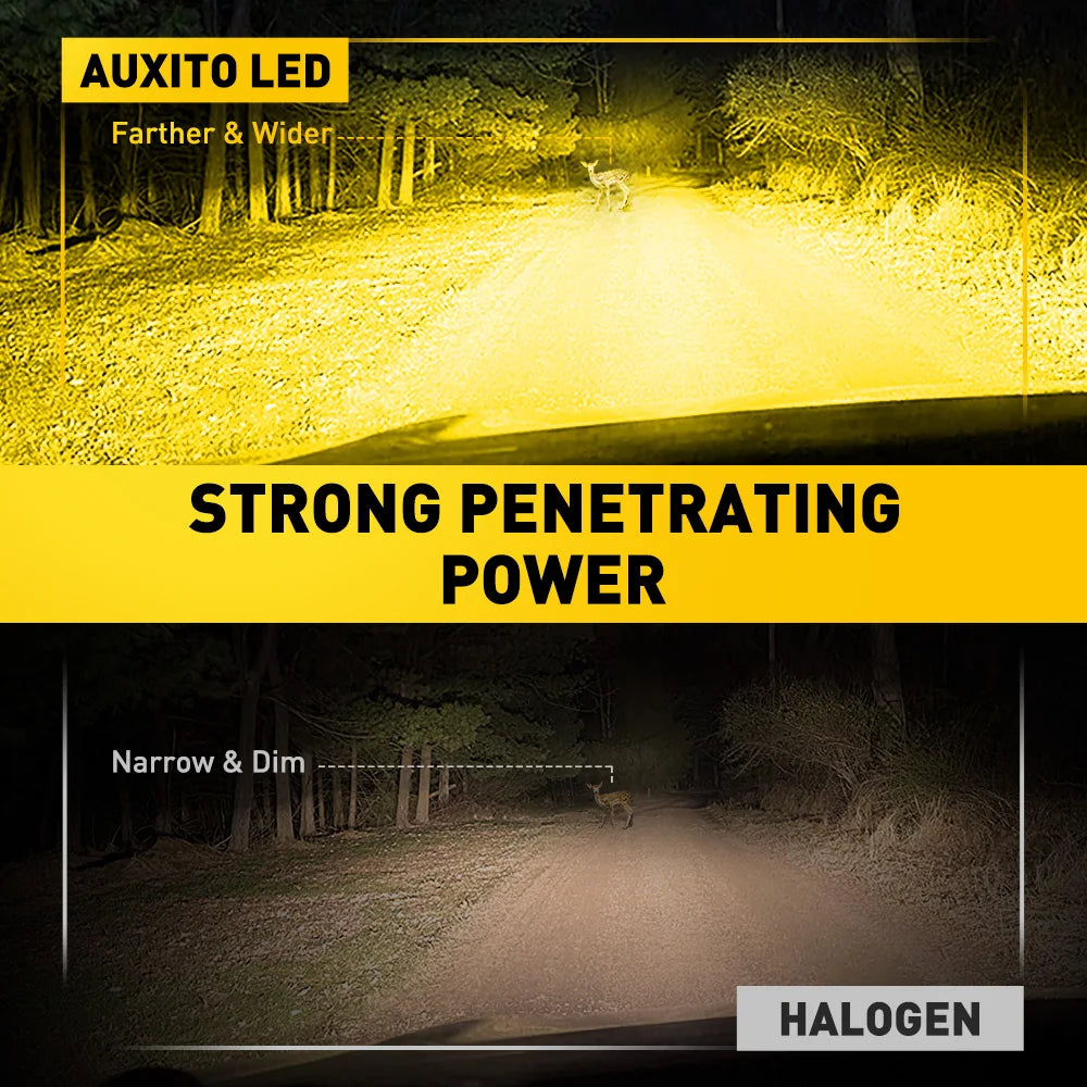 AUXITO Canbus H3 LED Fog Light Bulbs Plug and Play