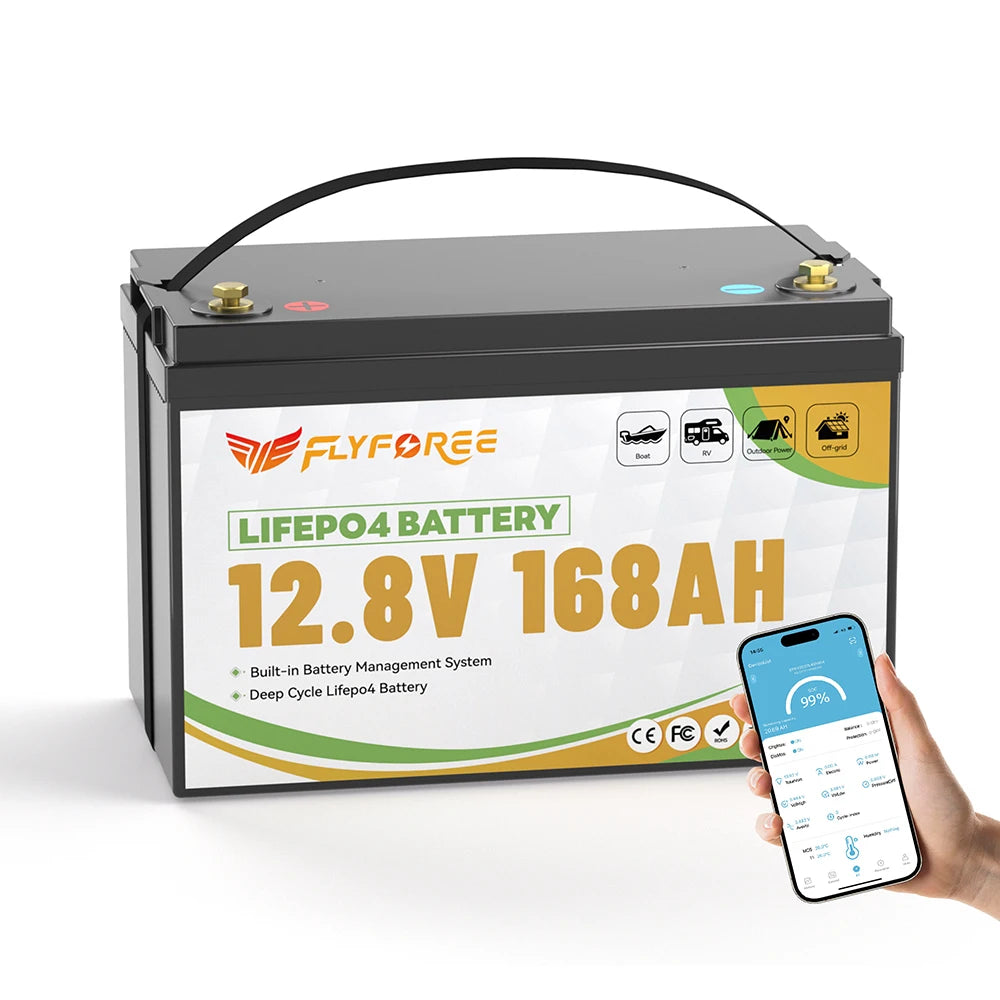 Fly Power LiFePO4 12V 100Ah Battery With BMS Marine