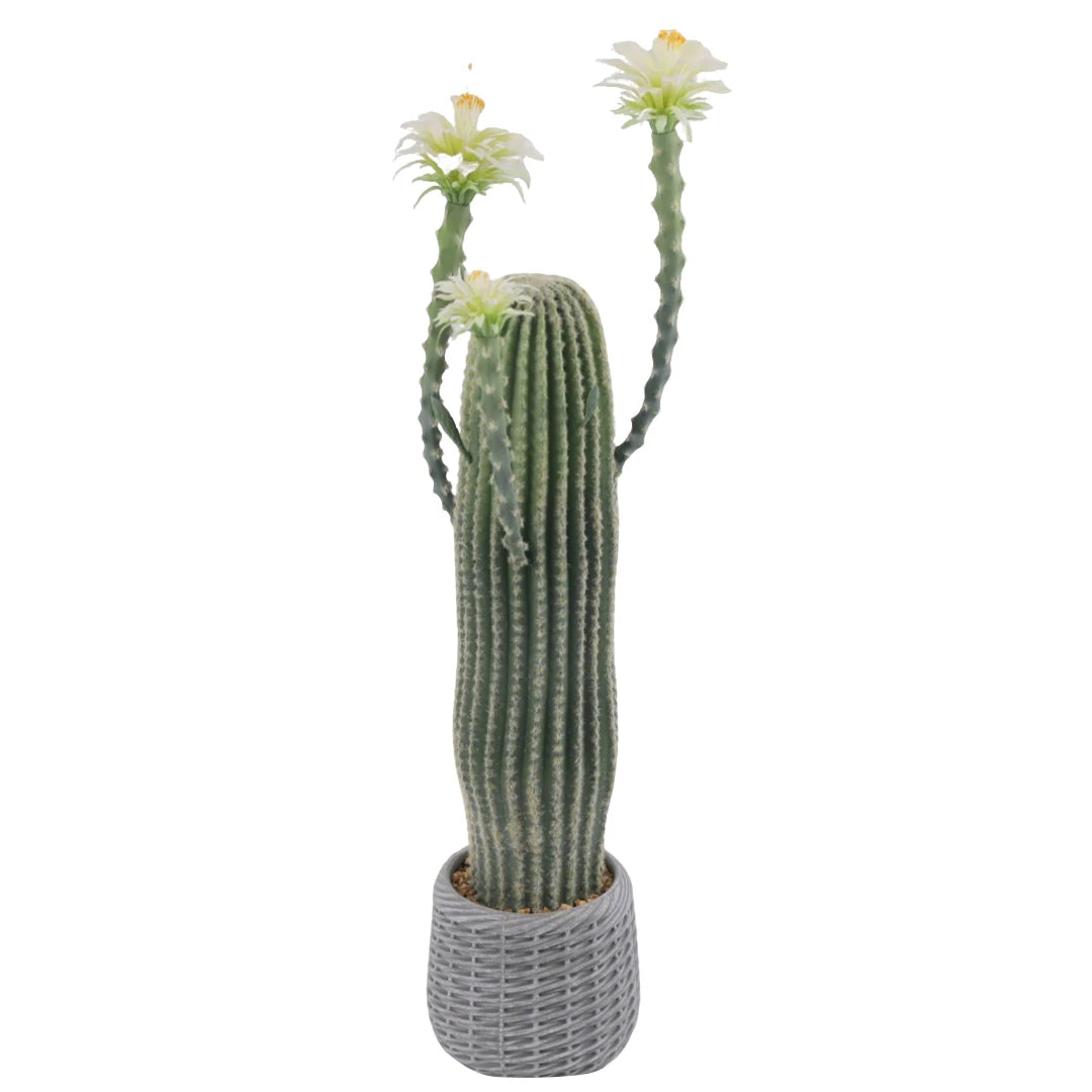 HiMISSCN Artificial Cactus Plant Potted Faux Desert Home Decor
