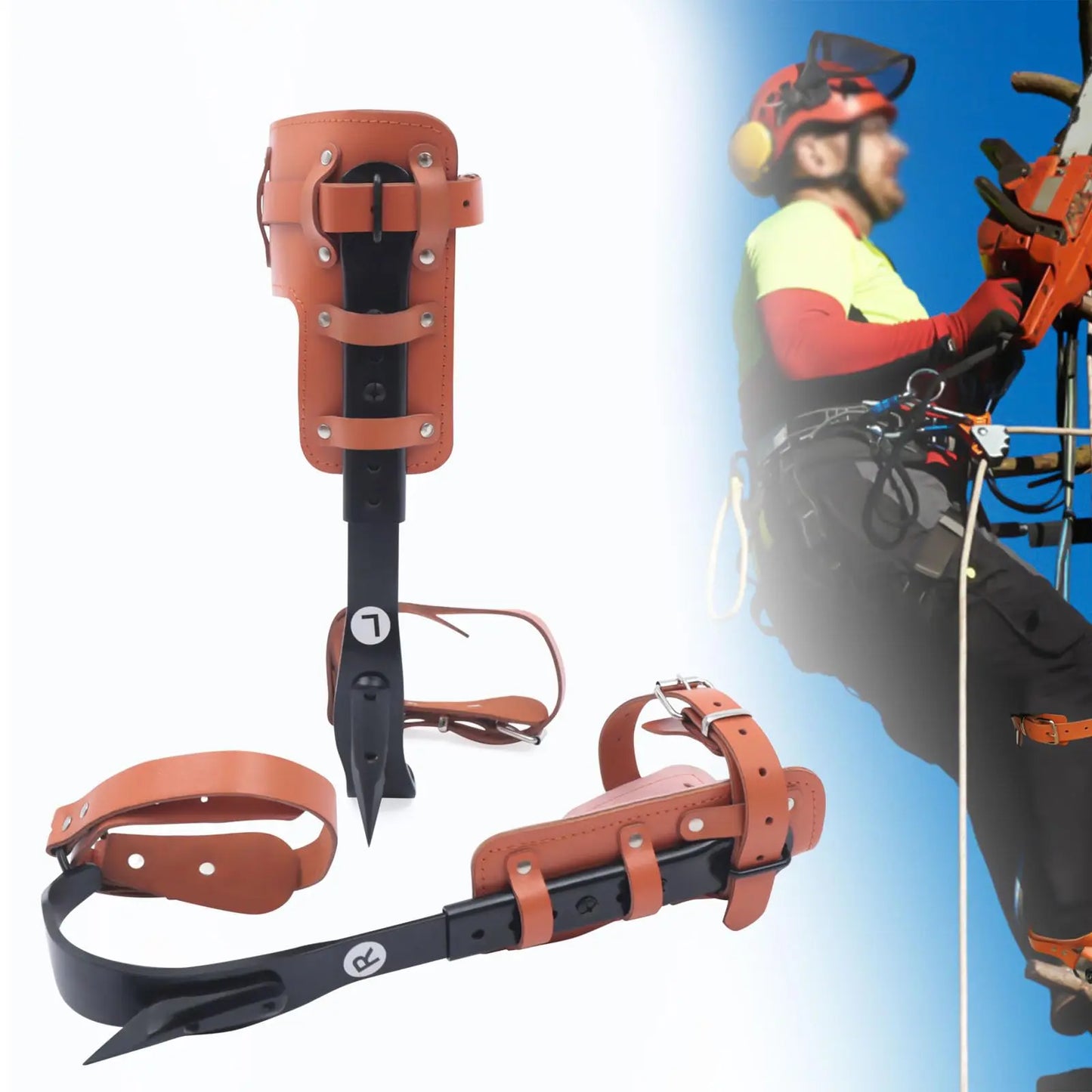 Tree Climbing Spike Set With Adjustable Steel Gaffs