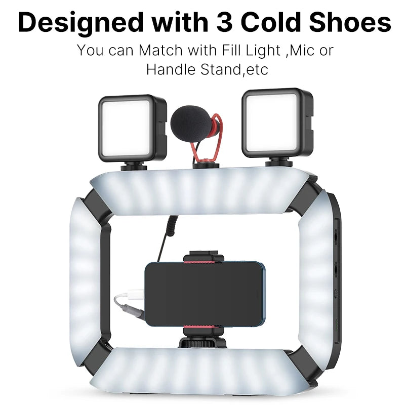 Ulanzi U200 Rechargeable Smartphone Video Rig With LED Ring Light