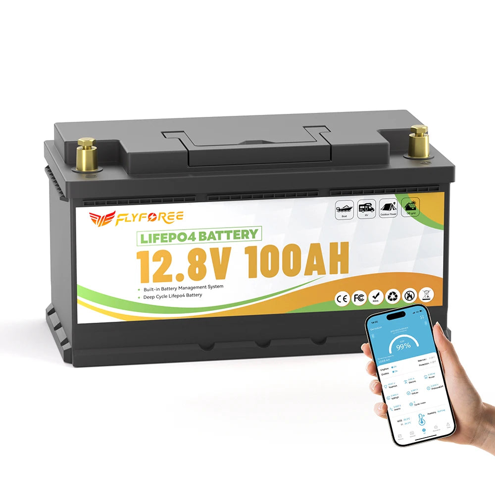 Fly Power LiFePO4 12V 100Ah Battery With BMS Marine