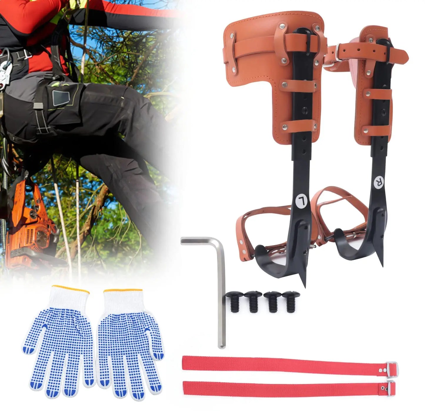Tree Climbing Spike Set With Adjustable Steel Gaffs