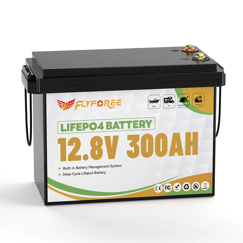 Fly Power LiFePO4 12V 100Ah Battery With BMS Marine